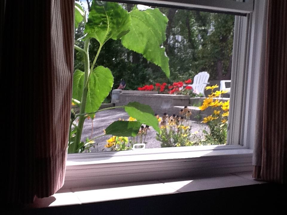 Josephine'S On The Bay Bed And Breakfast Hull Extérieur photo